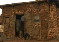 Sixty percent of Basotho endure poverty