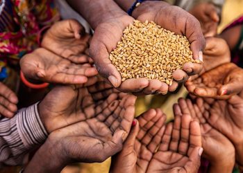 Extreme weather devastates Lesotho’s agricultural GDP