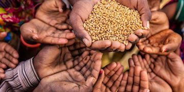 Extreme weather devastates Lesotho’s agricultural GDP