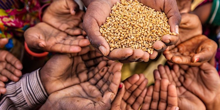 Extreme weather devastates Lesotho’s agricultural GDP