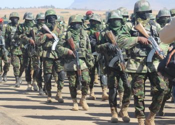 LDF brutality on spotlight yet again