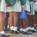 Alarm raised over undocumented Lesotho pupils in SA